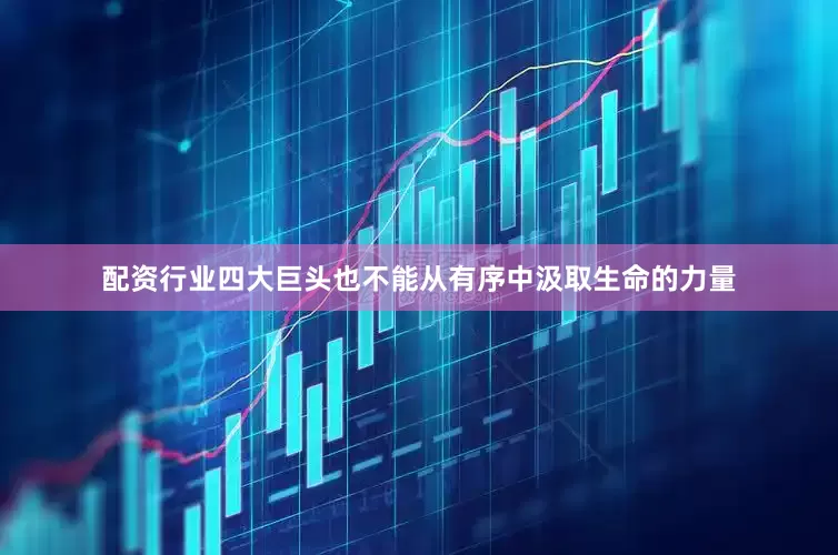 配资行业四大巨头也不能从有序中汲取生命的力量