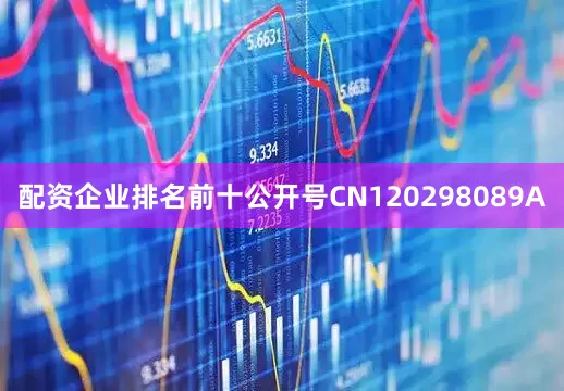 配资企业排名前十公开号CN120298089A