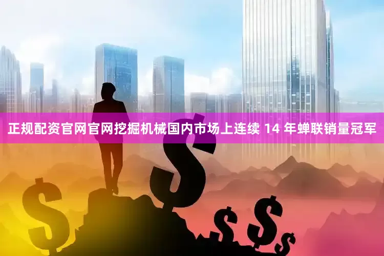 正规配资官网官网挖掘机械国内市场上连续 14 年蝉联销量冠军